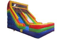 Corrediça inflável da criança padrão para grandes campo de jogos/parque de diversões fornecedor