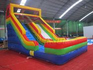 Corrediça inflável da criança padrão para grandes campo de jogos/parque de diversões fornecedor
