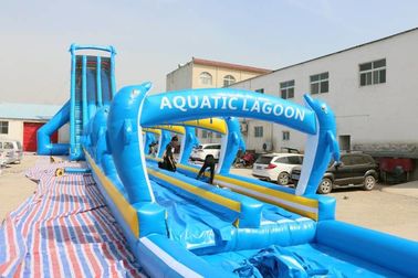 China Material do PVC da corrediça de água WSS-277/0.55mm do golfinho azul grande para adultos fábrica