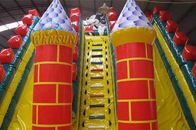 Corrediça inflável gigante com o leão-de-chácara para crianças/adultos 10x6x6m fornecedor